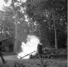 Screen Shot 2015-08-08 at 11.19.30 PM